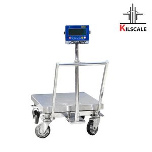 باسکول تمام استیل Binazir 600 کیلو MBL 601SS SB53