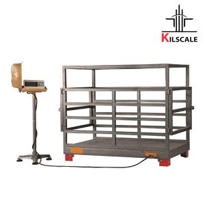 باسکول دامکش Binazir 2 تنی مدل MB 2000D SB53