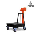 باسکول صنعتی پیام توزین مدل TS 500 ظرفیت 500 کیلویی