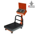 ترازوی ۱۰۰ کیلویی پیام توزین مدل TM100 گارد تاشو – باسکول دیجیتال سیار