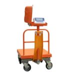 باسکولت پند 500 کیلویی مدل PX9000 STORM-PLUS - تصویر 4