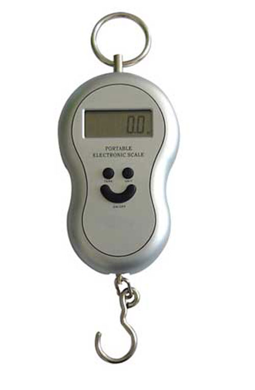 ترازوی آویز ماهیگیری کیا Fish scale
