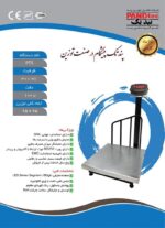 باسکولت 300 کیلویی پند تک مدل PTS - تصویر 2