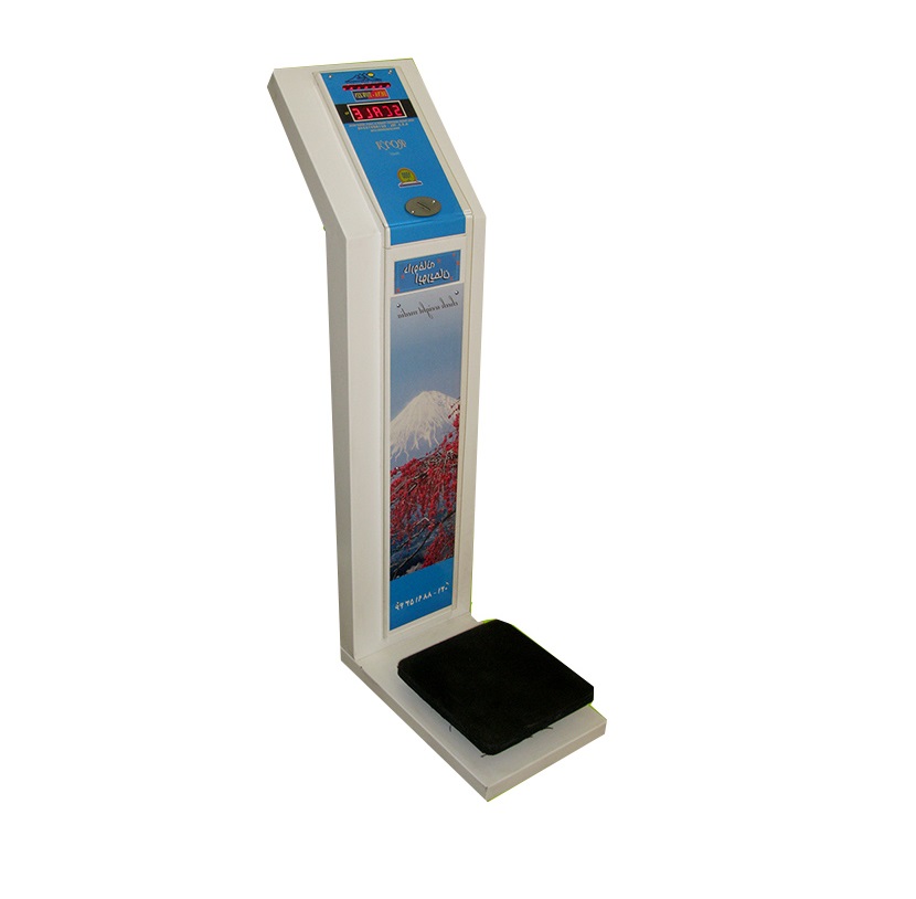باسکول-دنا-توزین-مدل-dt2000 باسکول نفرکش دنا توزین مدل DT2000 - تصویر 1